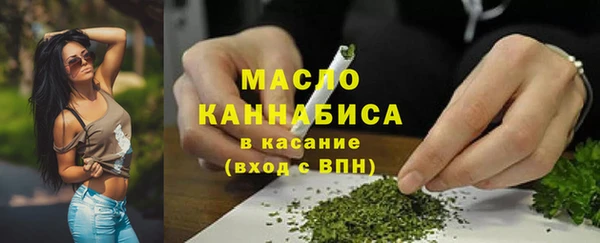 сатива Каменка